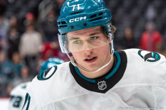 Detroit-Red-Wings-vs-San-Jose-Sharks-January-16-2026-In-Play-magazine-24