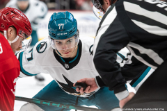 Detroit-Red-Wings-vs-San-Jose-Sharks-January-16-2026-In-Play-magazine-47