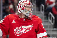 Detroit-Red-Wings-vs-San-Jose-Sharks-January-16-2026-In-Play-magazine-50