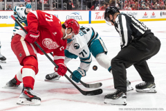 Detroit-Red-Wings-vs-San-Jose-Sharks-January-16-2026-In-Play-magazine-58
