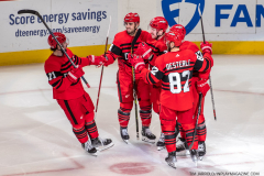 San-Jose-Sharks-at-Detroit-Red-Wings-January-24-2023-18
