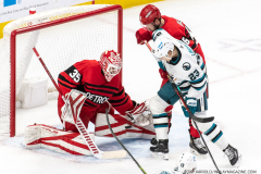San-Jose-Sharks-at-Detroit-Red-Wings-January-24-2023-23