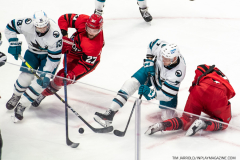 San-Jose-Sharks-at-Detroit-Red-Wings-January-24-2023-4