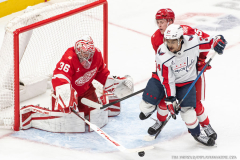 Detroit-Red-Wings-vs-Washington-Capitals-Janaury-29-2026-In-Play-magazine-6