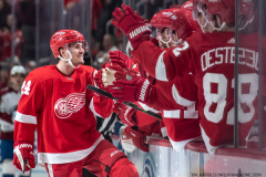 Colorado-Avalanche-at-Detroit-Red-Wings-March-18-2023-20