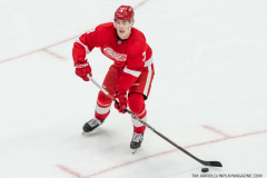 Carolina-Hurricanes-at-Detroit-Red-Wings-March-30-2023-22