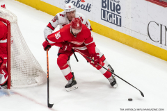 Carolina-Hurricanes-at-Detroit-Red-Wings-March-30-2023-54
