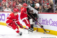 Coyotes-at-Red-Wings-Nov-25-2022-1