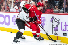 Coyotes-at-Red-Wings-Nov-25-2022-15