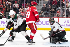 Coyotes-at-Red-Wings-Nov-25-2022-16