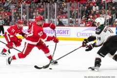 Coyotes-at-Red-Wings-Nov-25-2022-3