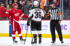 Coyotes-at-Red-Wings-Nov-25-2022-31