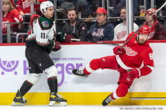 Coyotes-at-Red-Wings-Nov-25-2022-38