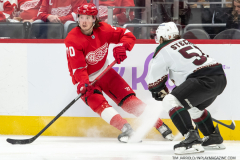 Coyotes-at-Red-Wings-Nov-25-2022-40