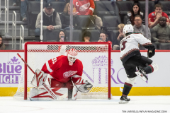Coyotes-at-Red-Wings-Nov-25-2022-50