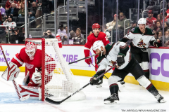 Coyotes-at-Red-Wings-Nov-25-2022-8