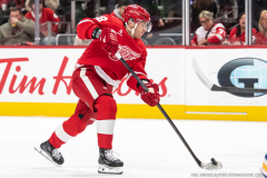 Detroit-Red-Wings-vs-Buffalo-Sabres-Review-November-15-2025-In-Play-magazine-1