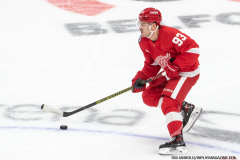 Red-Wings-vs-Islanders-November-21-2024-In-Play-magazine-14