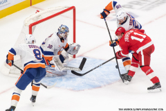Red-Wings-vs-Islanders-November-21-2024-In-Play-magazine-18