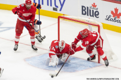 Red-Wings-vs-Islanders-November-21-2024-In-Play-magazine-26