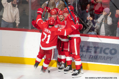 Red-Wings-vs-Islanders-November-21-2024-In-Play-magazine-41