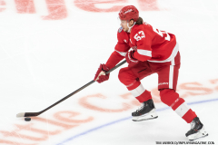 Red-Wings-vs-Islanders-November-21-2024-In-Play-magazine-9