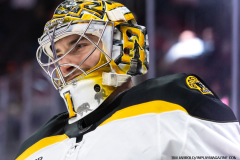 Red-Wings-vs-Bruins-November-23-2024-In-Play-magazine-1