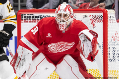 Red-Wings-vs-Bruins-November-23-2024-In-Play-magazine-11