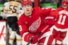 Red-Wings-vs-Bruins-November-23-2024-In-Play-magazine-18
