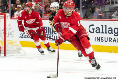 Red-Wings-vs-Bruins-November-23-2024-In-Play-magazine-20