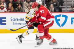 Red-Wings-vs-Bruins-November-23-2024-In-Play-magazine-21