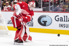 Red-Wings-vs-Bruins-November-23-2024-In-Play-magazine-22