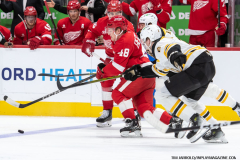Red-Wings-vs-Bruins-November-23-2024-In-Play-magazine-32