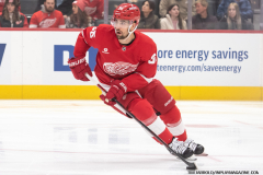 Red-Wings-vs-Bruins-November-23-2024-In-Play-magazine-8