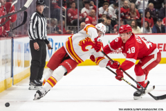 Detroit-Red-WIngs-vs-Calgary-Flames-November-27-2024-In-Play-magazine-12