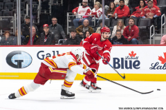 Detroit-Red-WIngs-vs-Calgary-Flames-November-27-2024-In-Play-magazine-46