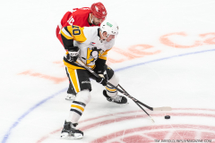 Detroit-Red-Wings-vs-Pittsburgh-Penguins-October-18-2023-In-Play-magazine-10