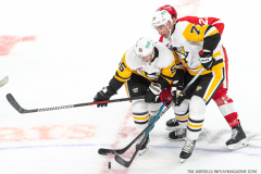 Detroit-Red-Wings-vs-Pittsburgh-Penguins-October-18-2023-In-Play-magazine-5