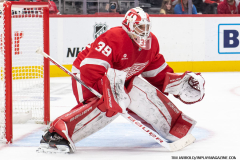Detroit-Red-Wings-vs-Edmonton-Oilers-October-27-2024-In-Play-magazine-71