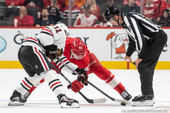 Detroit-Red-Wings-vs-Chicago-Blackhawks-September-23-2025-In-Play-magazine-13