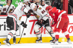 Detroit-Red-Wings-vs-Chicago-Blackhawks-September-23-2025-In-Play-magazine-14