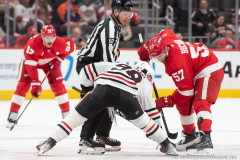 Detroit-Red-Wings-vs-Chicago-Blackhawks-September-23-2025-In-Play-magazine-16