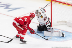 Detroit-Red-Wings-vs-Chicago-Blackhawks-September-23-2025-In-Play-magazine-19