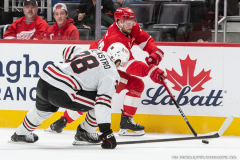 Detroit-Red-Wings-vs-Chicago-Blackhawks-September-23-2025-In-Play-magazine-30