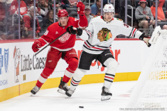 Detroit-Red-Wings-vs-Chicago-Blackhawks-September-23-2025-In-Play-magazine-39