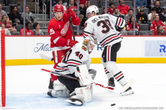 Detroit-Red-Wings-vs-Chicago-Blackhawks-September-23-2025-In-Play-magazine-40