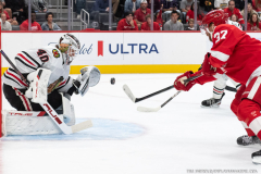 Detroit-Red-Wings-vs-Chicago-Blackhawks-September-23-2025-In-Play-magazine-41