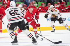 Detroit-Red-Wings-vs-Chicago-Blackhawks-September-23-2025-In-Play-magazine-7