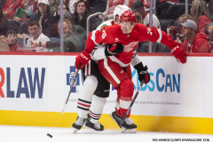 Red-Wings-vs-Blackhawks-September-27-2024-In-Play-magazine-15