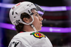 Red-Wings-vs-Blackhawks-September-27-2024-In-Play-magazine-2